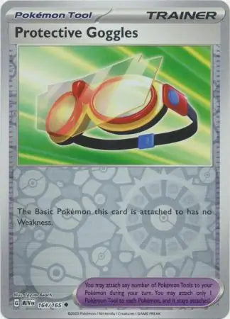 Protective Goggles reverse